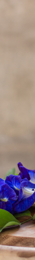 Blog Post Feature Images (3)